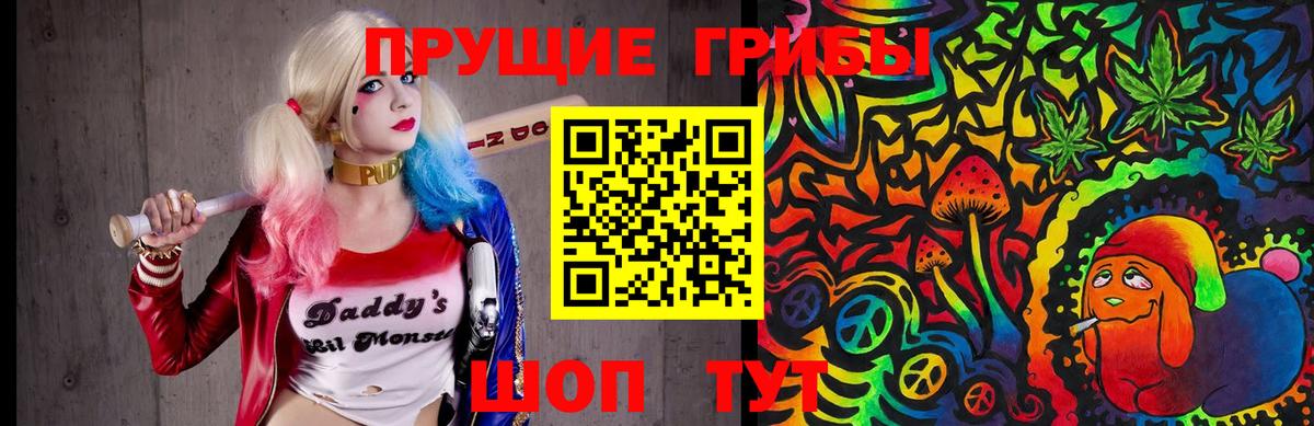 Псилоцибиновые грибы MAGIC MUSHROOMS Дмитров