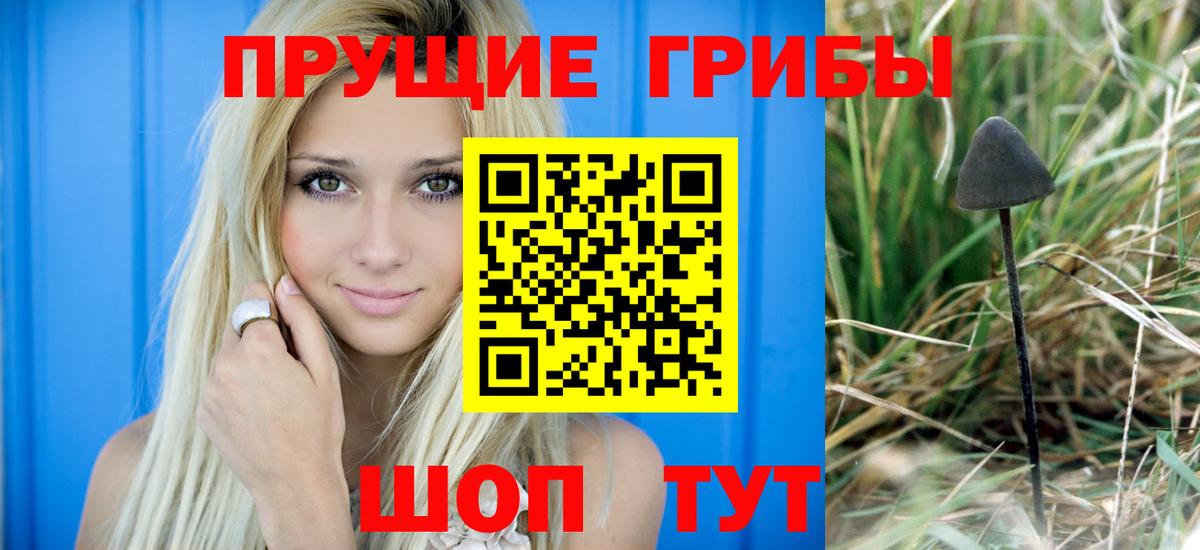 Галлюциногенные грибы Psilocybe  Вход с VPN  Псилоцибиновые грибы GOLDEN TEACHER  Дмитров 