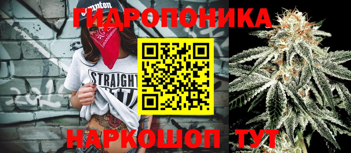 Марихуана тримм  Конопля OG Kush  Дмитров  Вход с VPN  Марихуана гибрид 